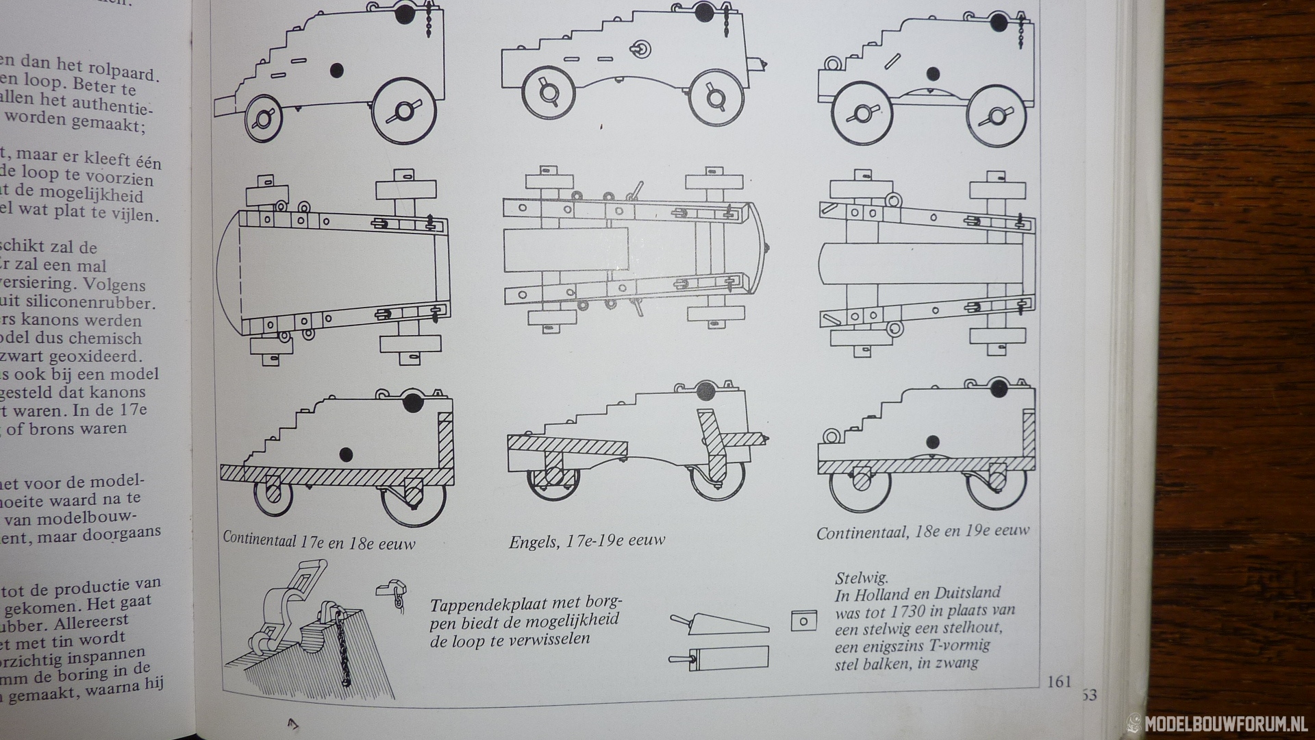 P1010278.jpg