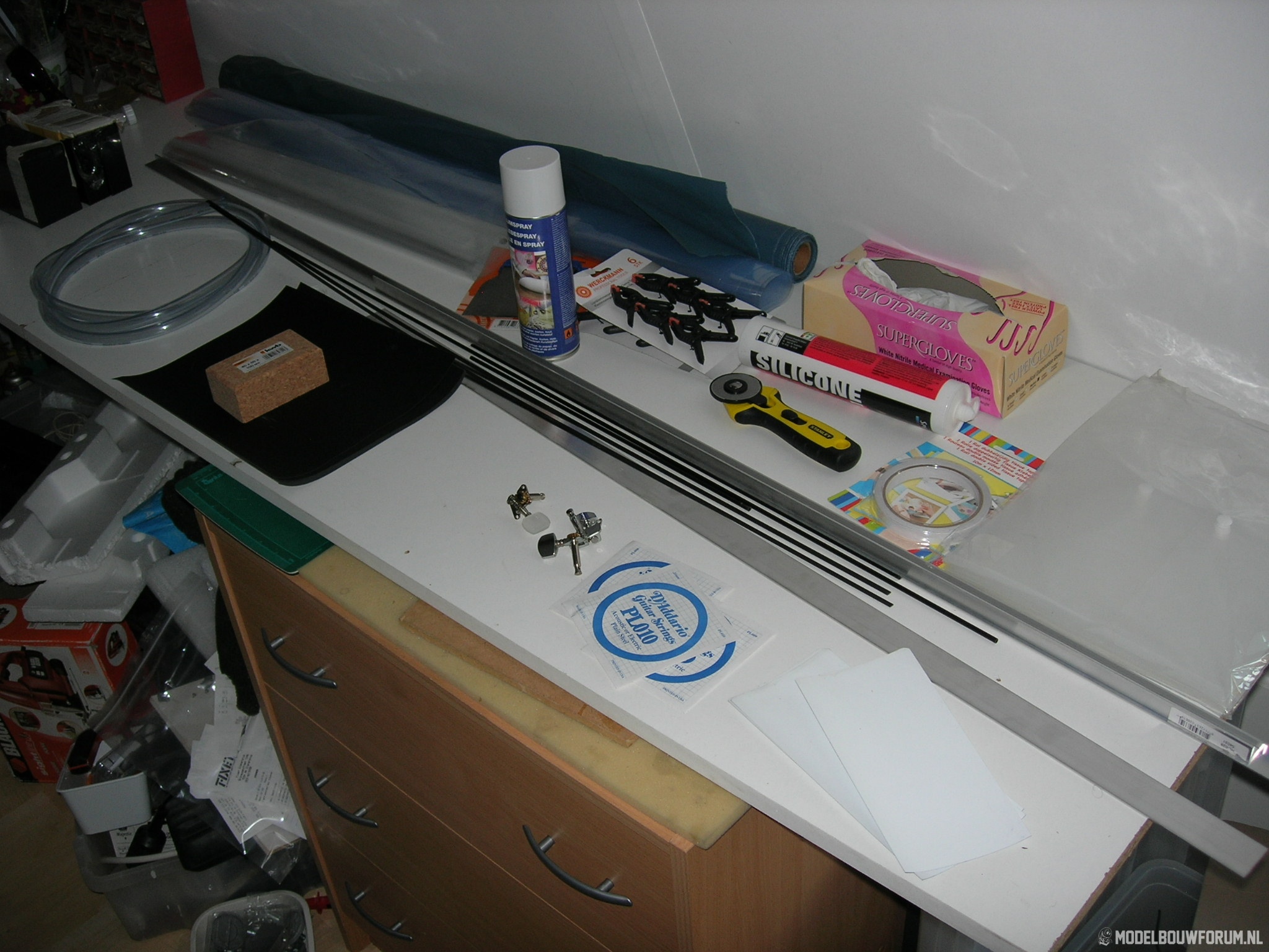 DSCN8147.jpg