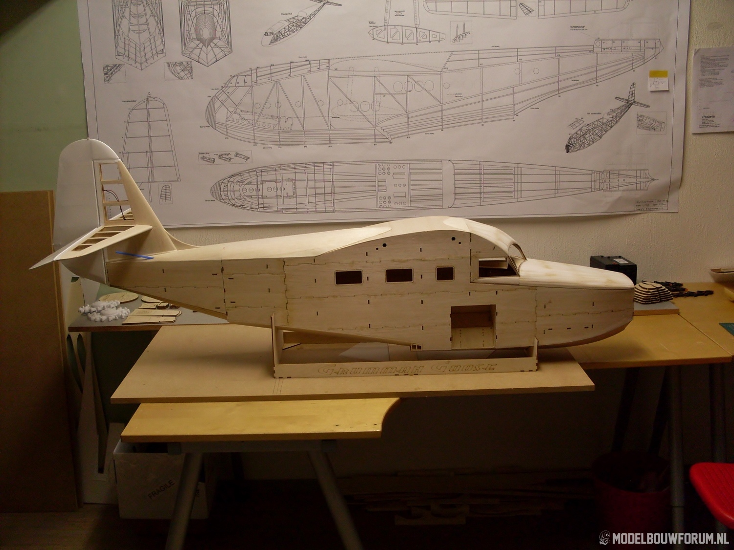Goose_238.jpg
