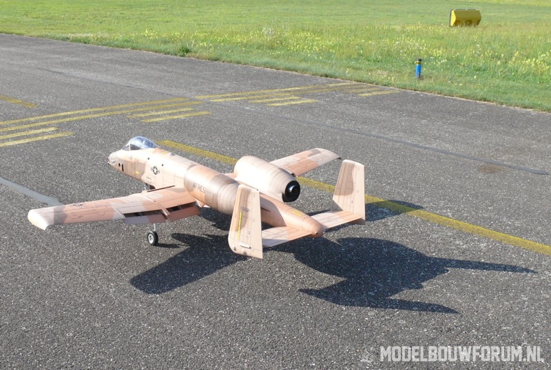 01-A-10_DN-JPG800x5xx.jpg