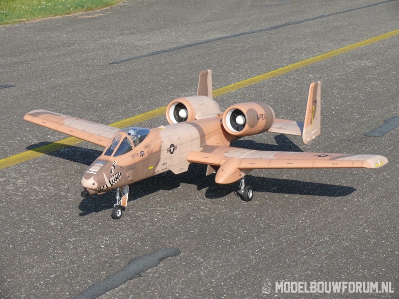 02-A-10_DN-JPG800x600.jpg