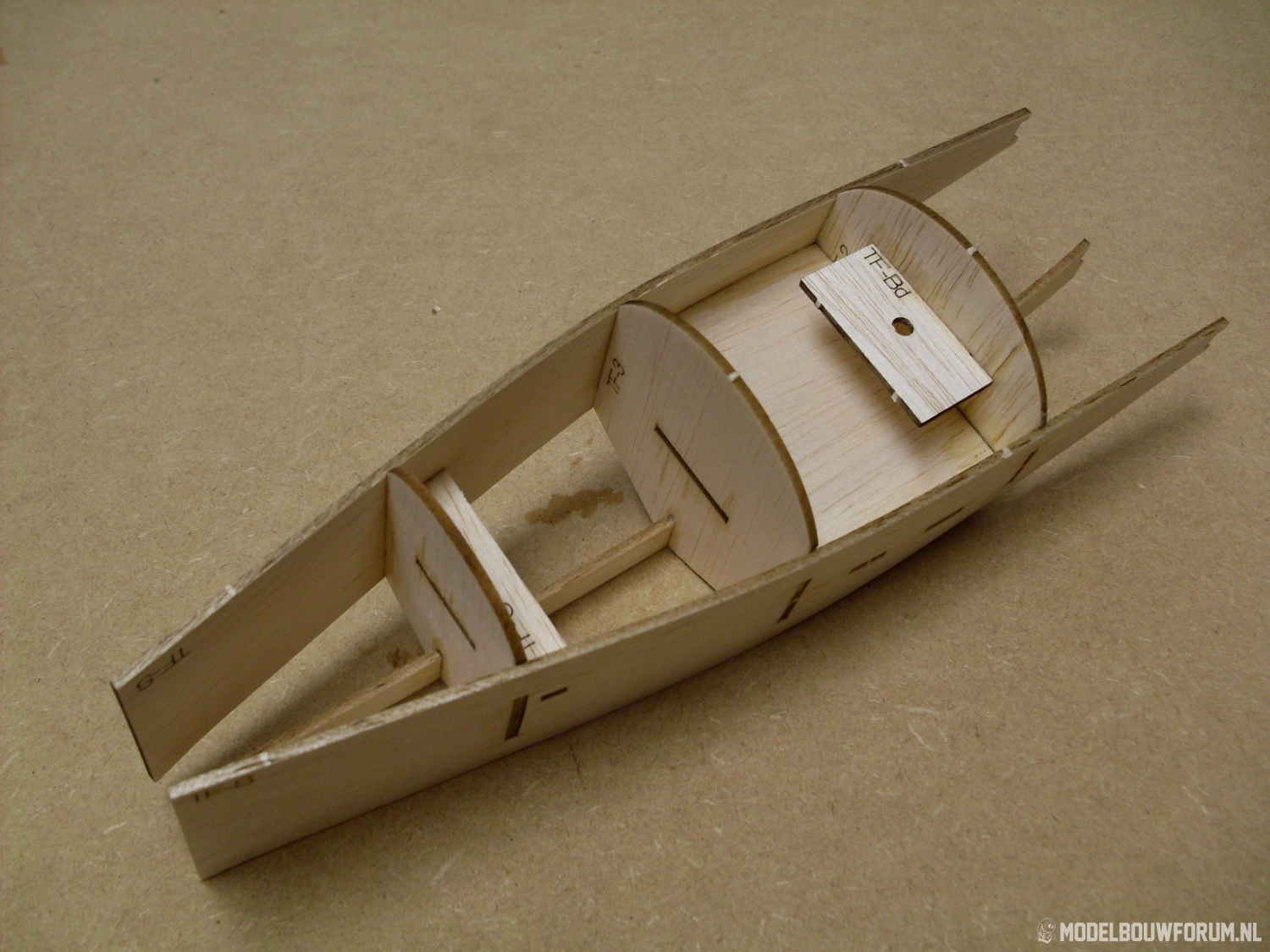 Goose_349.jpg