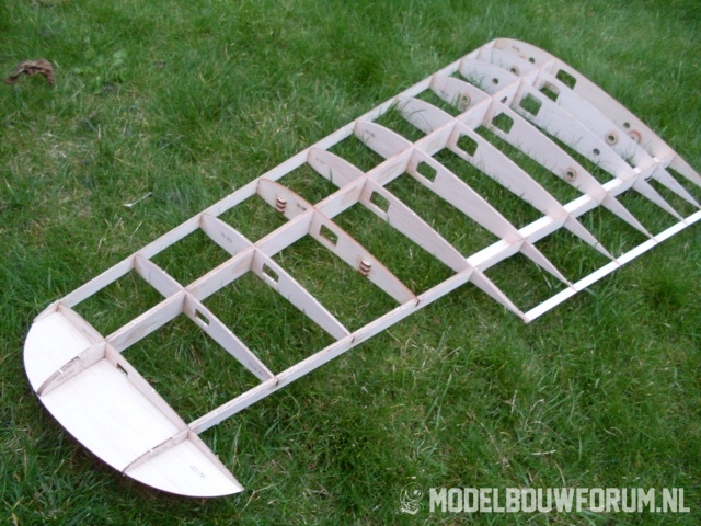 Goose_381.jpg