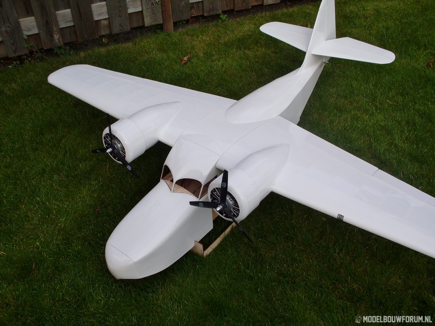 Goose_435.jpg