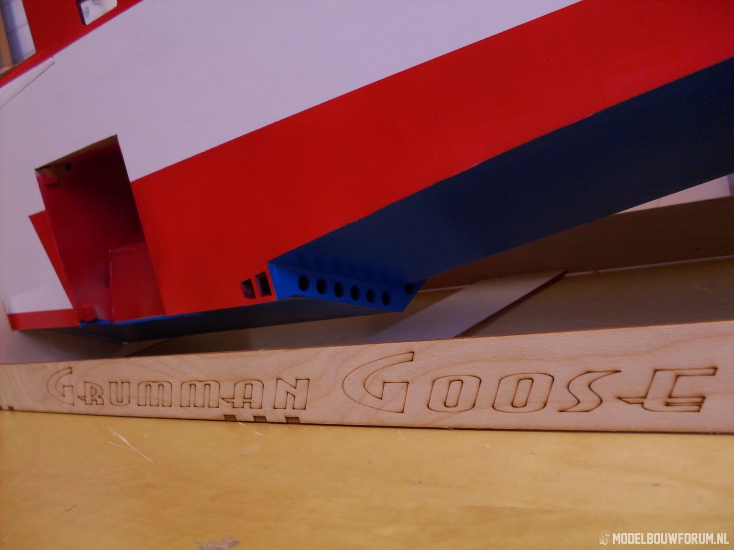 Goose_454.jpg