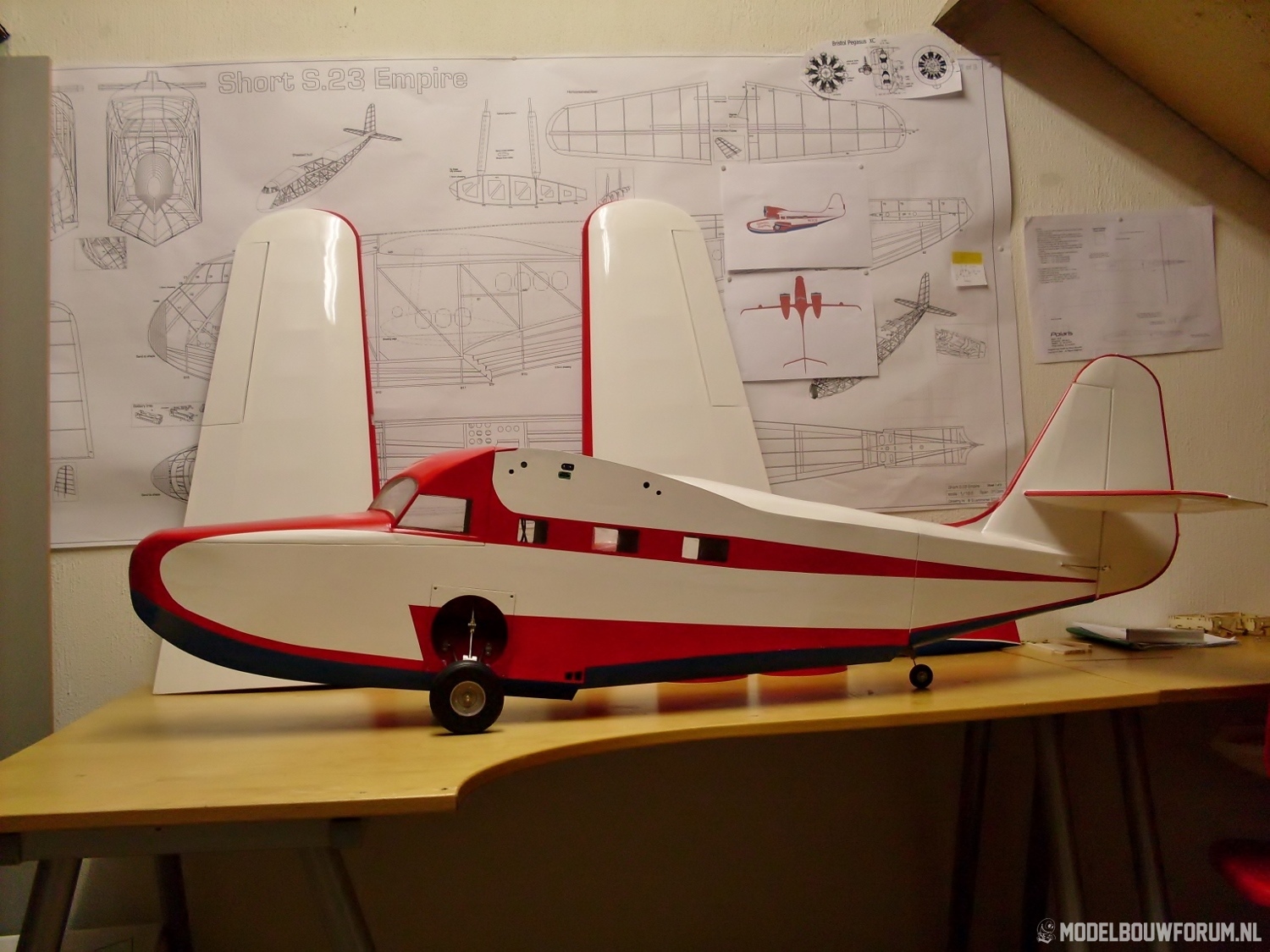 Goose_478.jpg