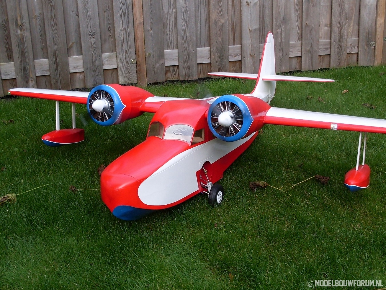 Goose_488.jpg