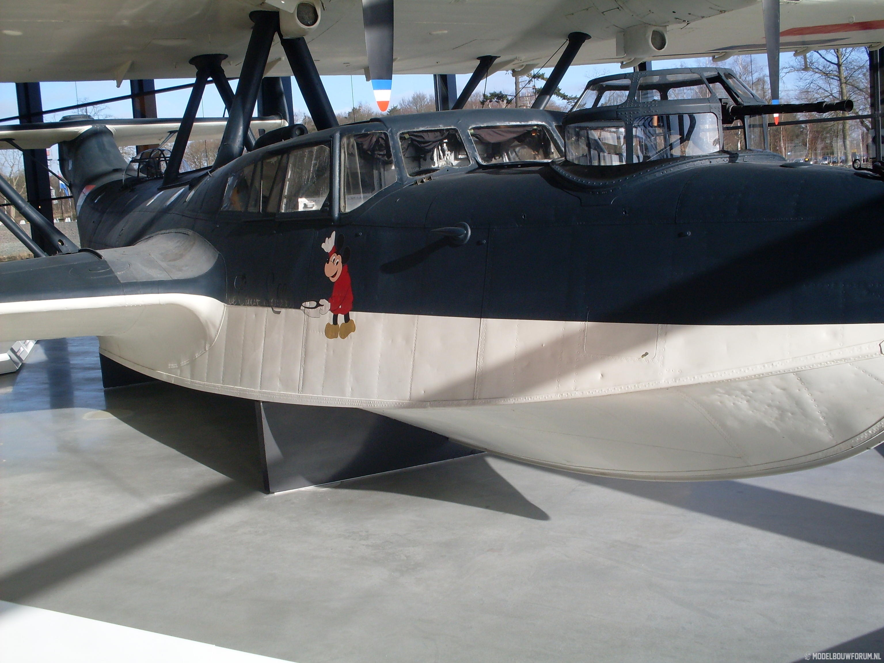 SDC10884.jpg