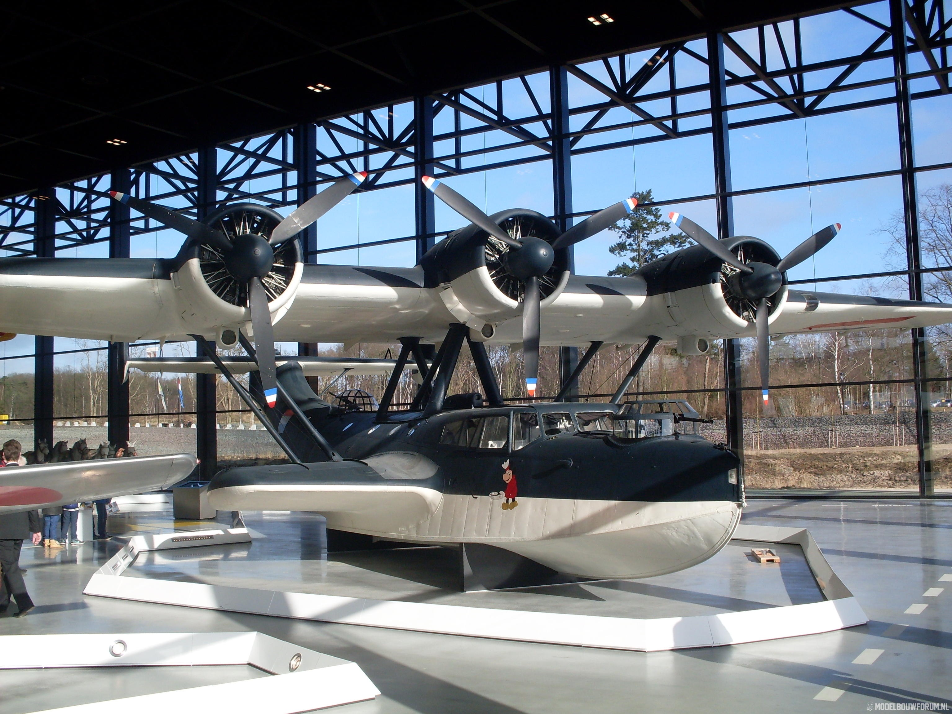 SDC10888.jpg