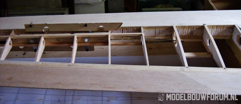 IMG0231_800x347.jpg