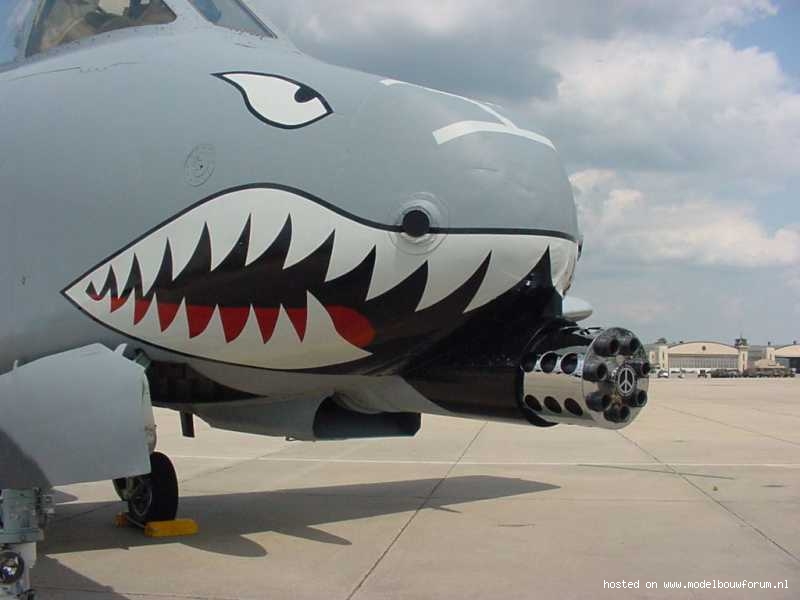 252747caf2f5e07ae.jpg