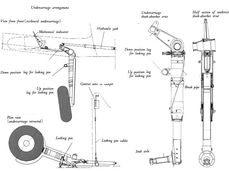 59584a599002ec770.jpg
