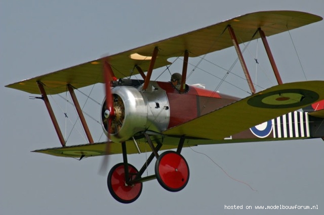 719448dbda88ad36e.jpg