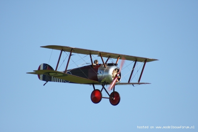 71944a6cb0df4702f.jpg