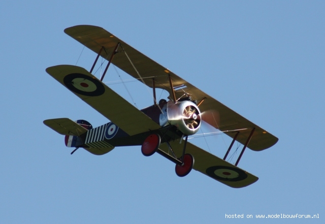 71944a6cb10025d3c.jpg