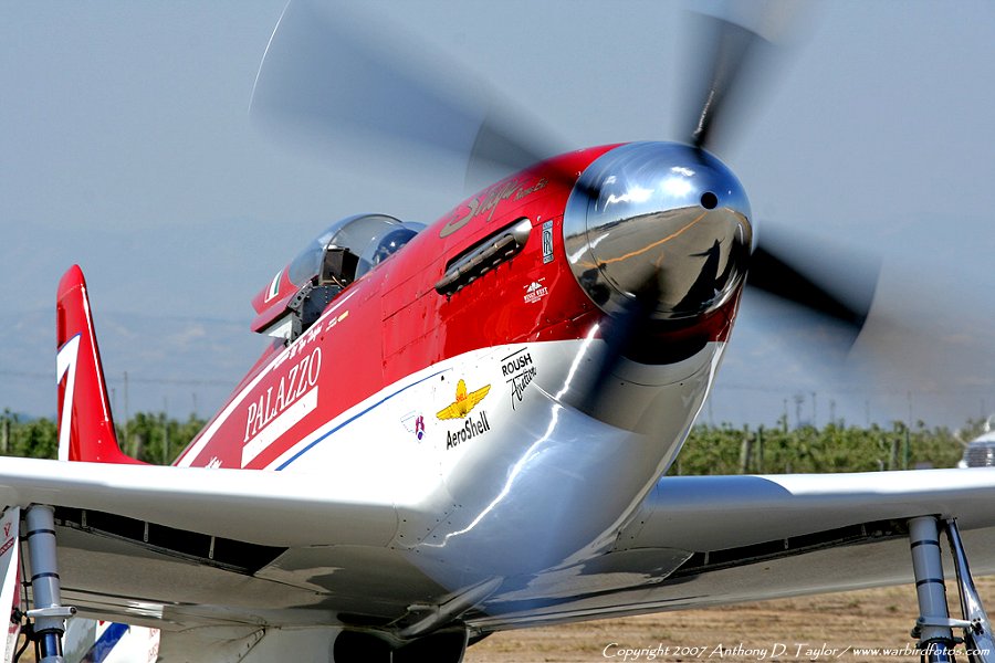 07_Strega_Minter_scr_8.jpg
