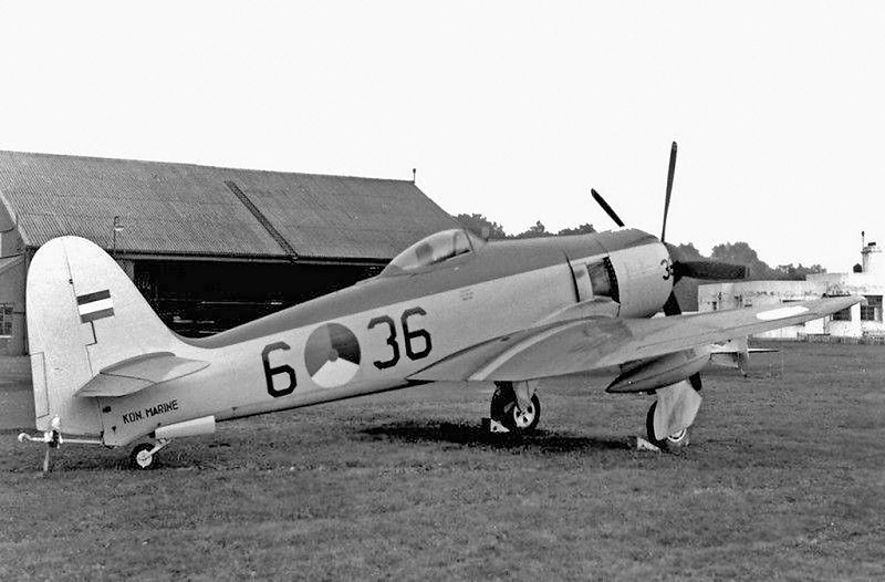 087 tail unit clearly visible of this Dutch Sea Fury.jpg
