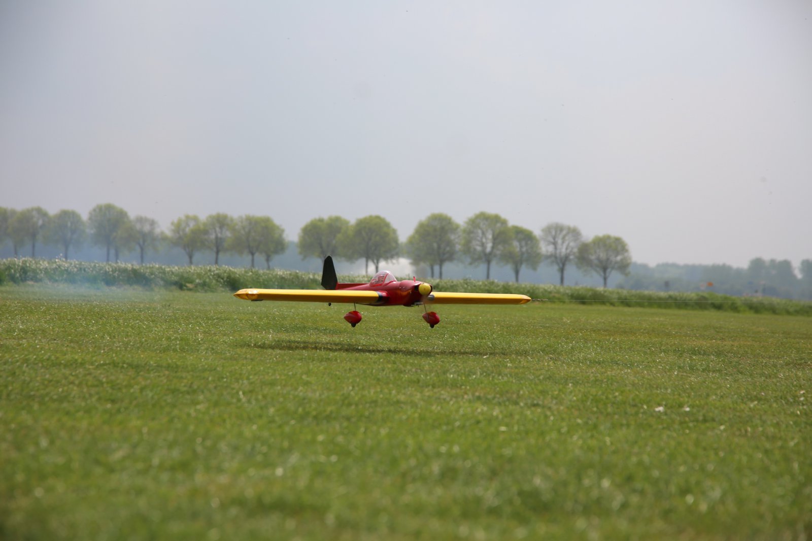 0G7A2079_resize.JPG