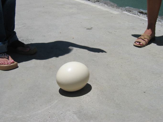 100_0052.JPG