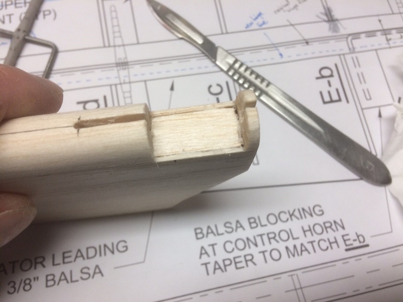 113 balsa on new location.jpg