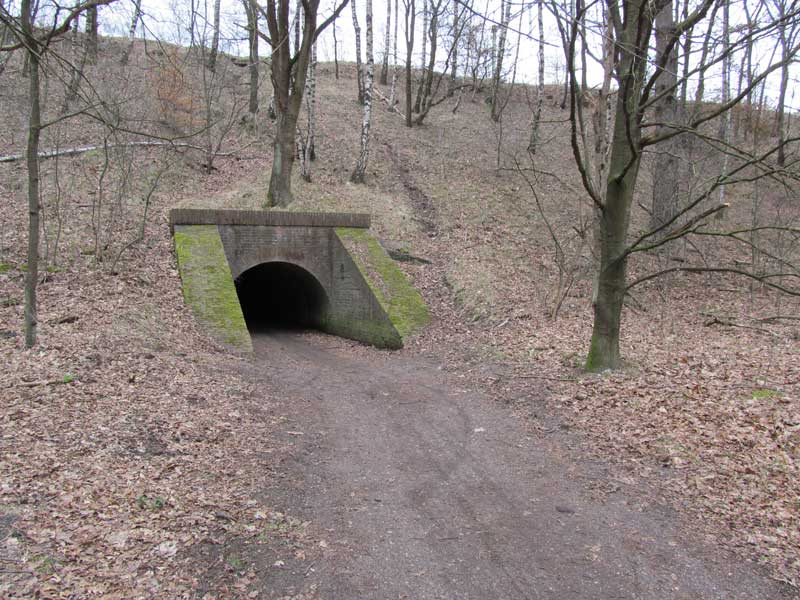 14-4-006.jpg