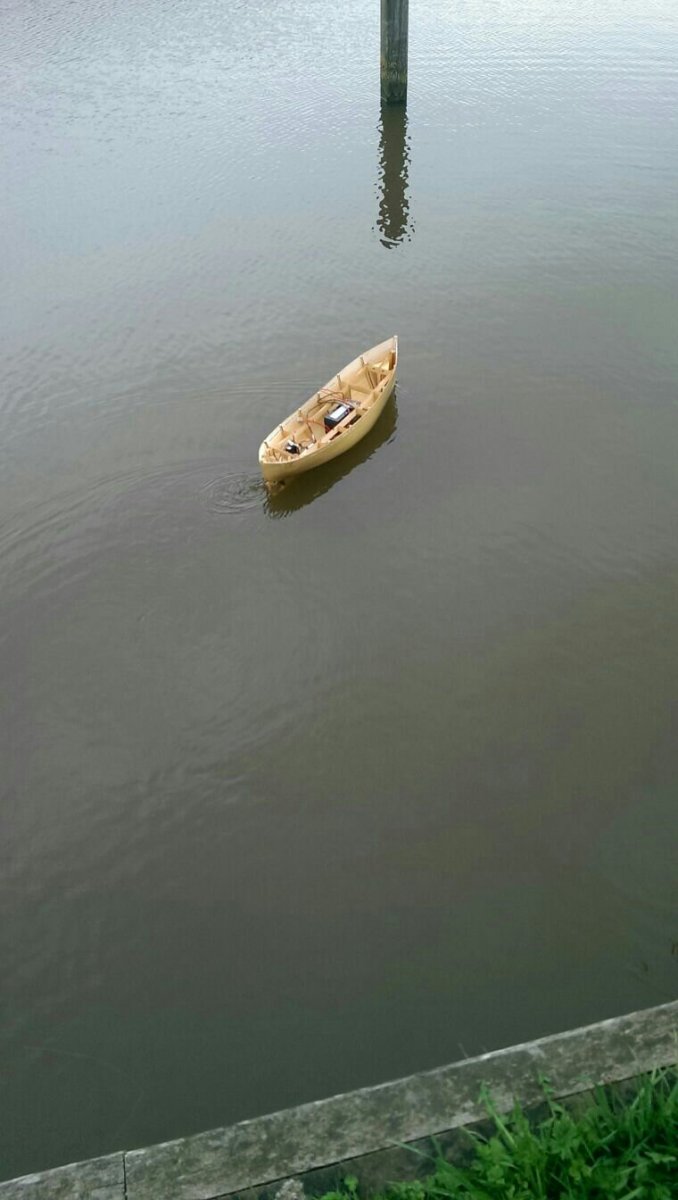 1491056527661.jpg