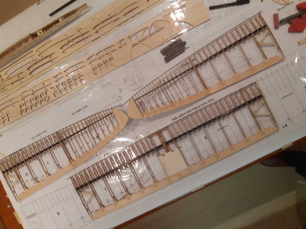1605910392106.jpeg