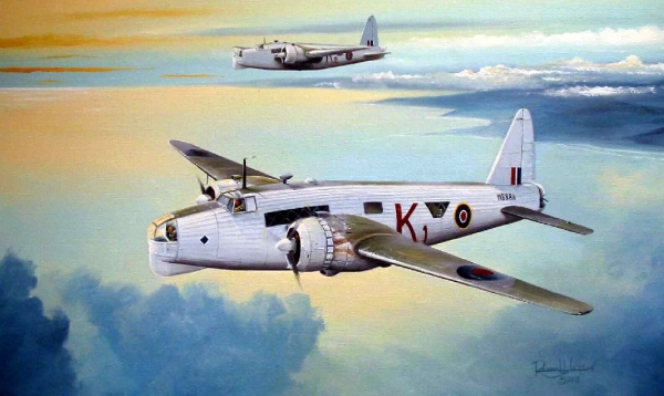 17265.jpg