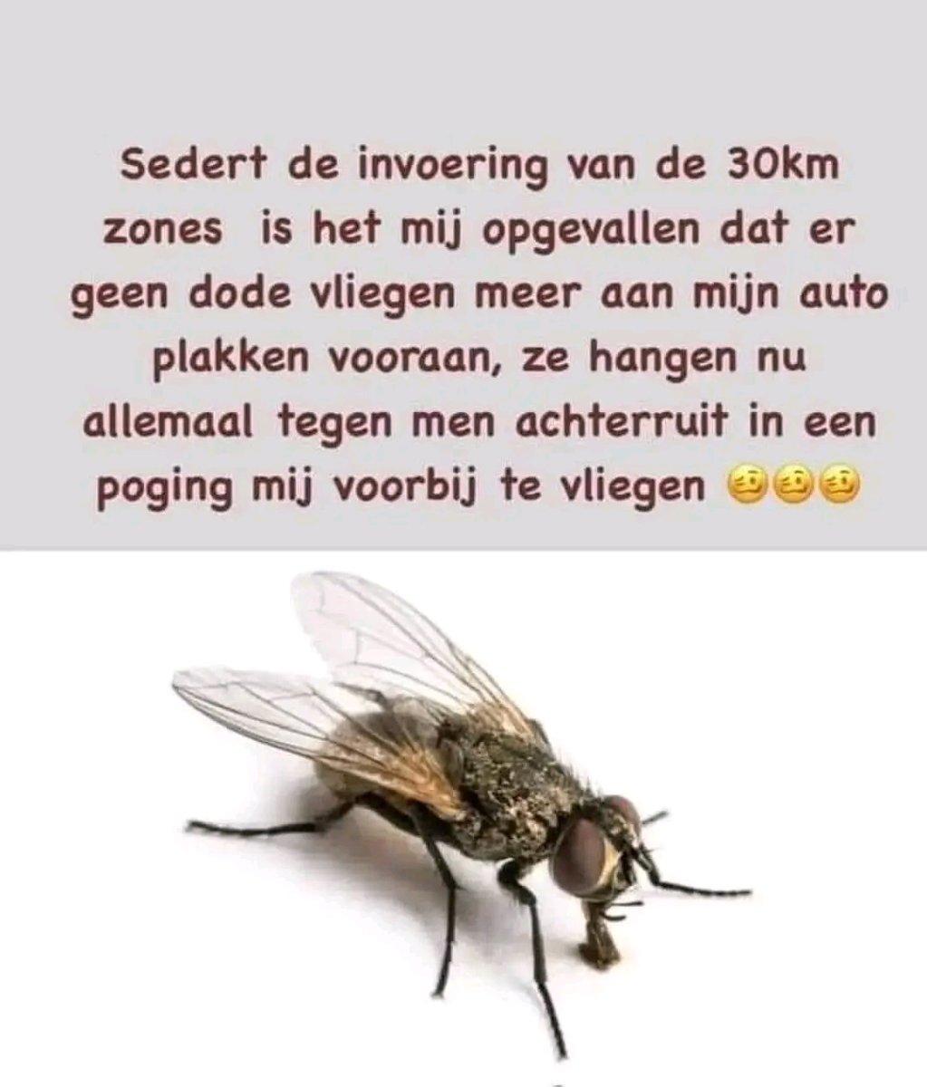 1747485266165.jpg