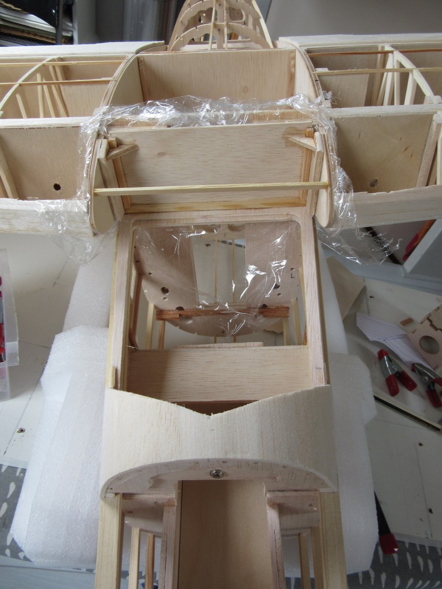 175 IMG_3464.JPG