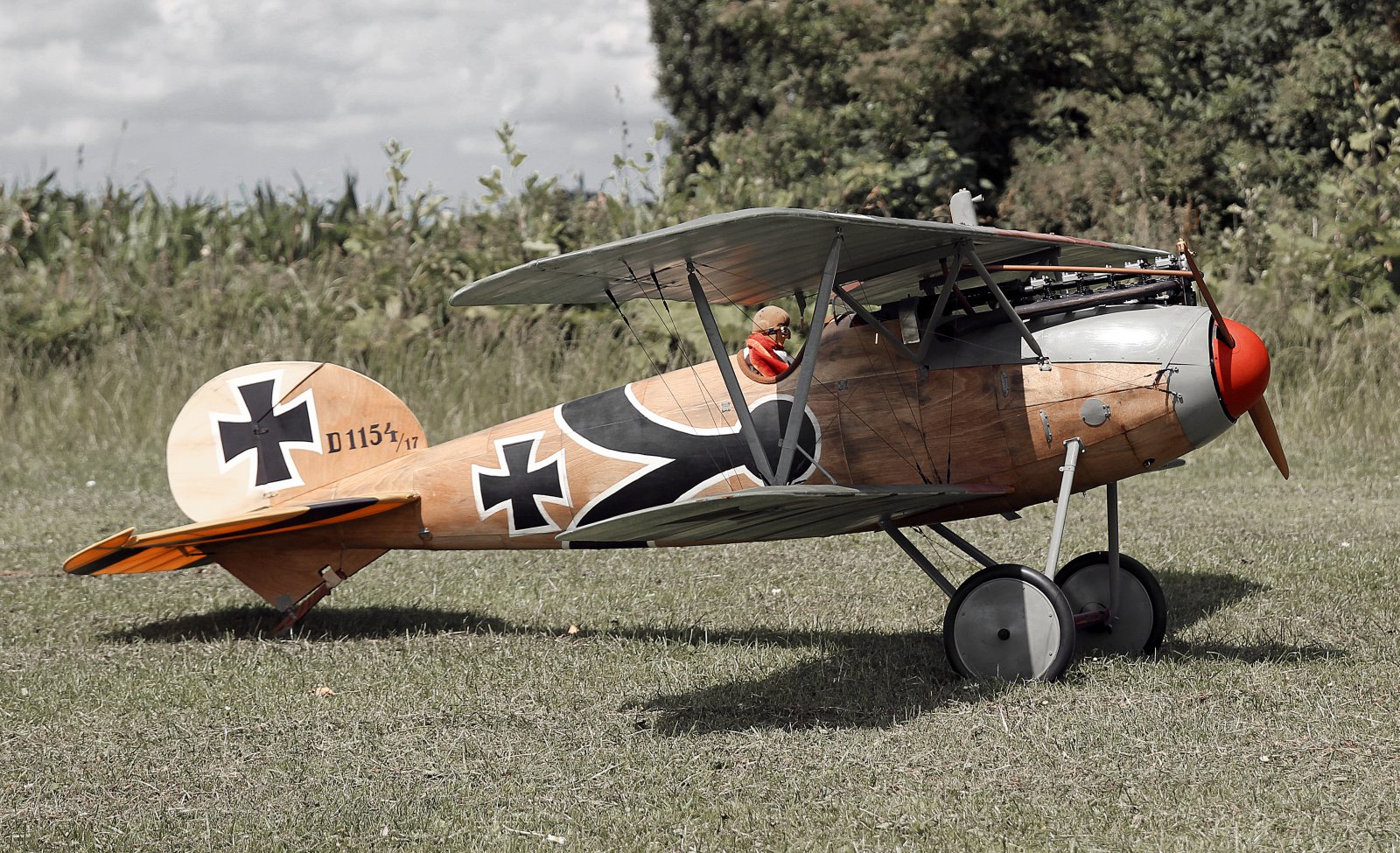 1DAC54C8-302F-43A2-BF3D-18F35EF87961.jpeg