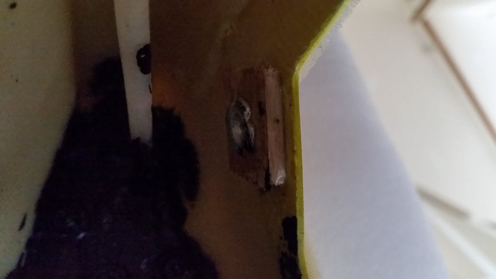 20160502_162540.jpg