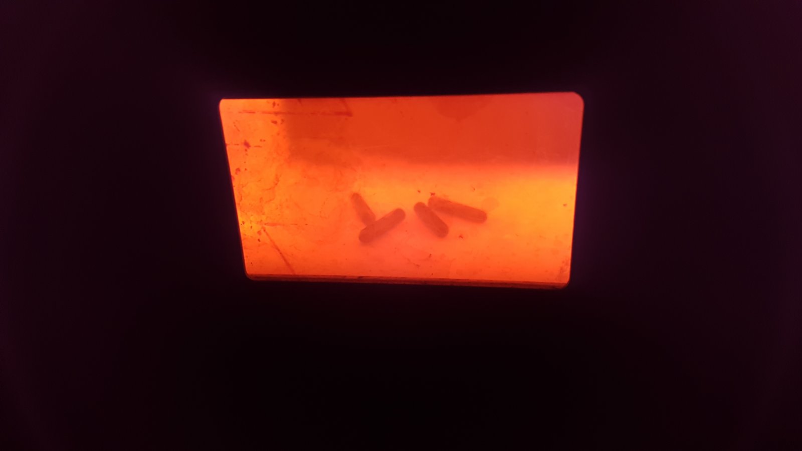 20170911_195611[1].jpg