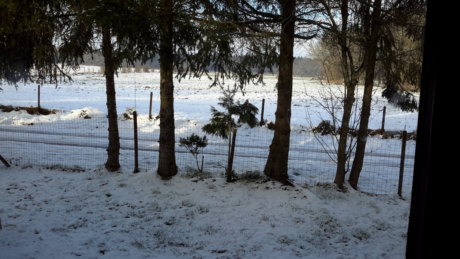 20180208_153909.jpg