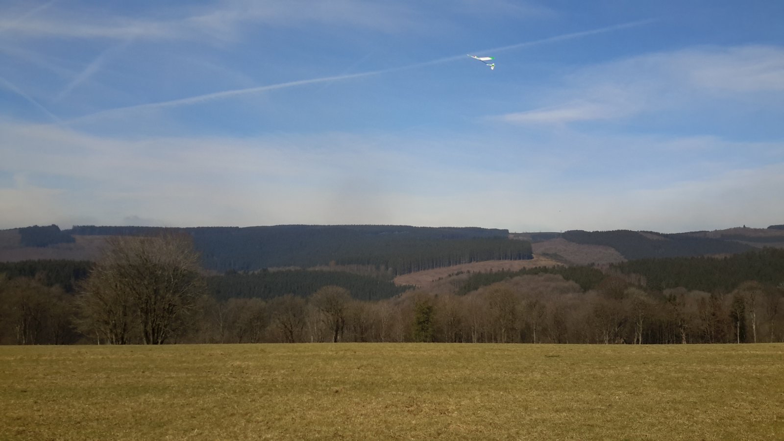 20180321_123014.jpg