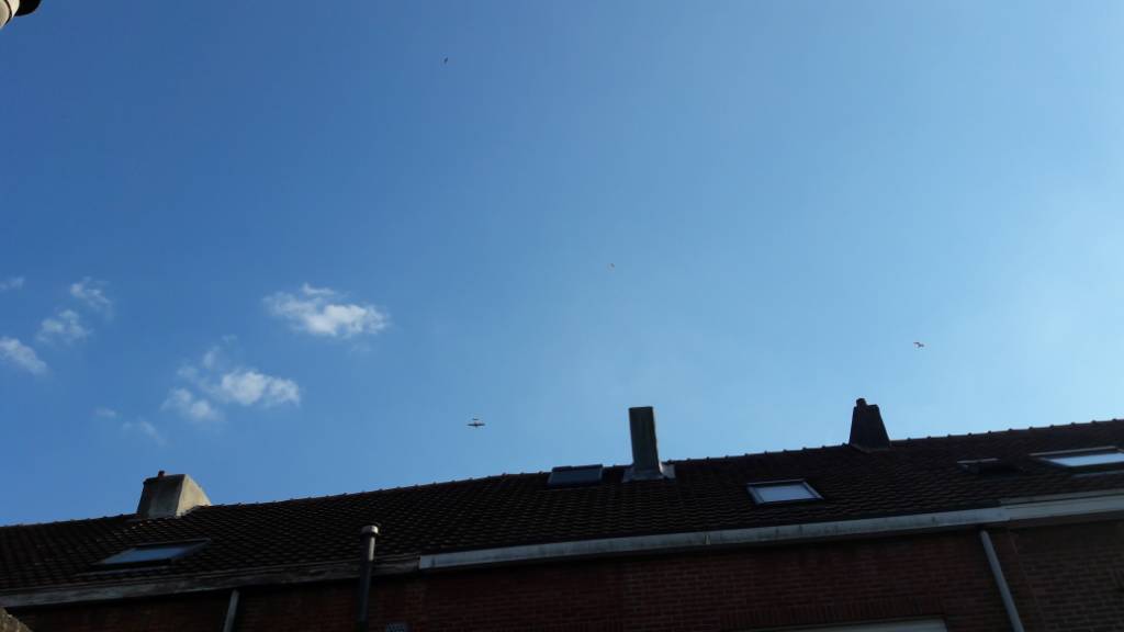 20180628_193251.jpeg