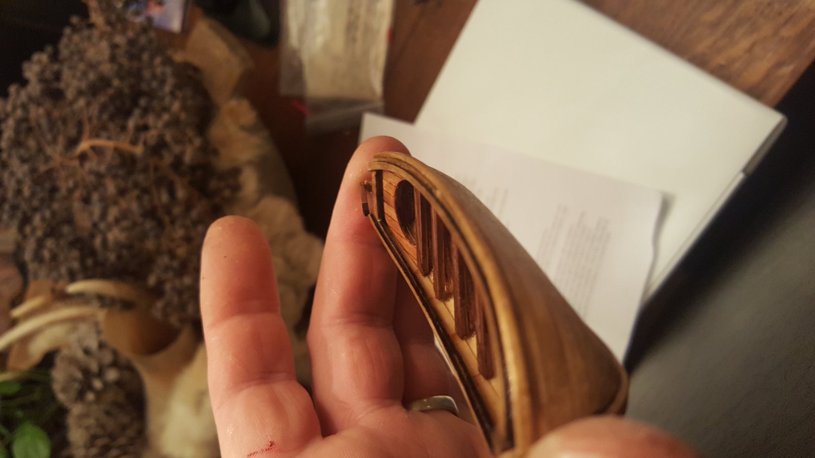 20181230_210003.jpg