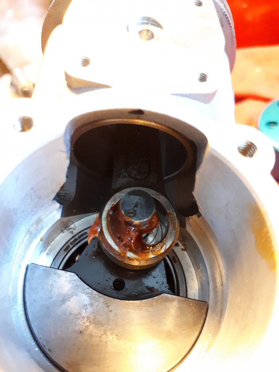 20190203_135355_resized_1.jpg