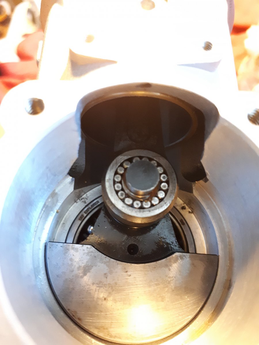 20190203_140136_resized_1.jpg