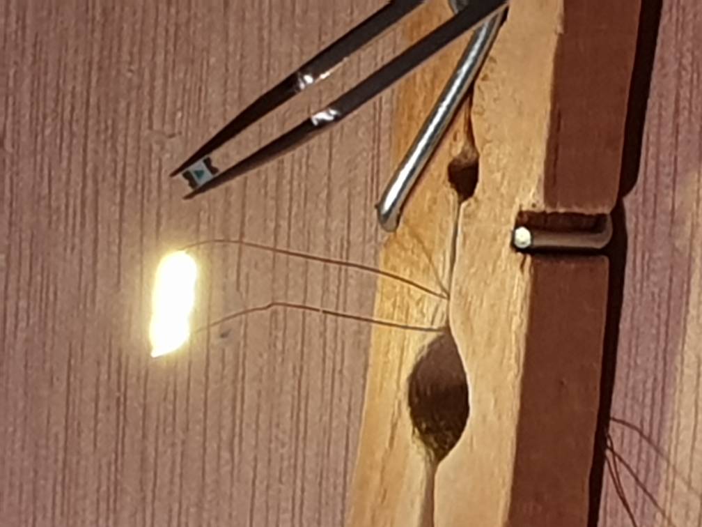 20190305_224059.jpeg