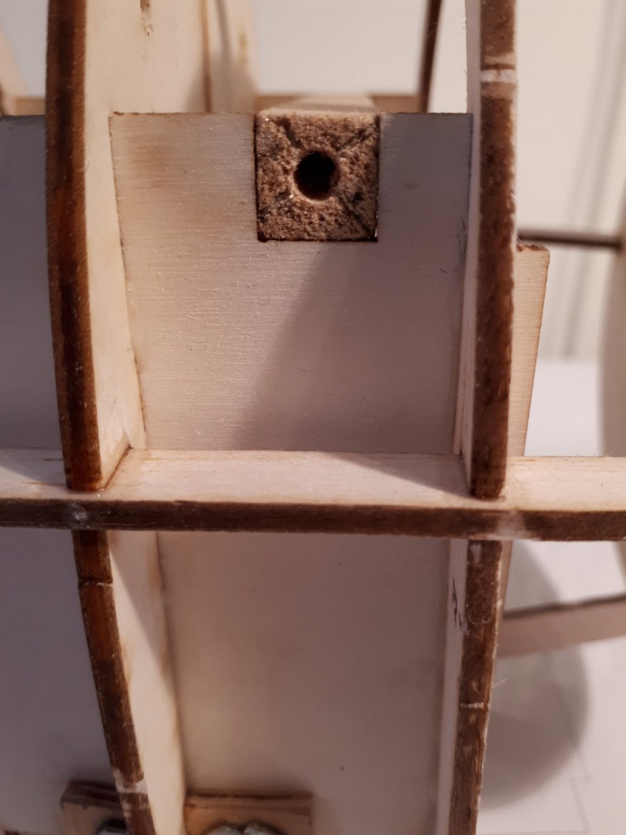 20190427_120809.jpg