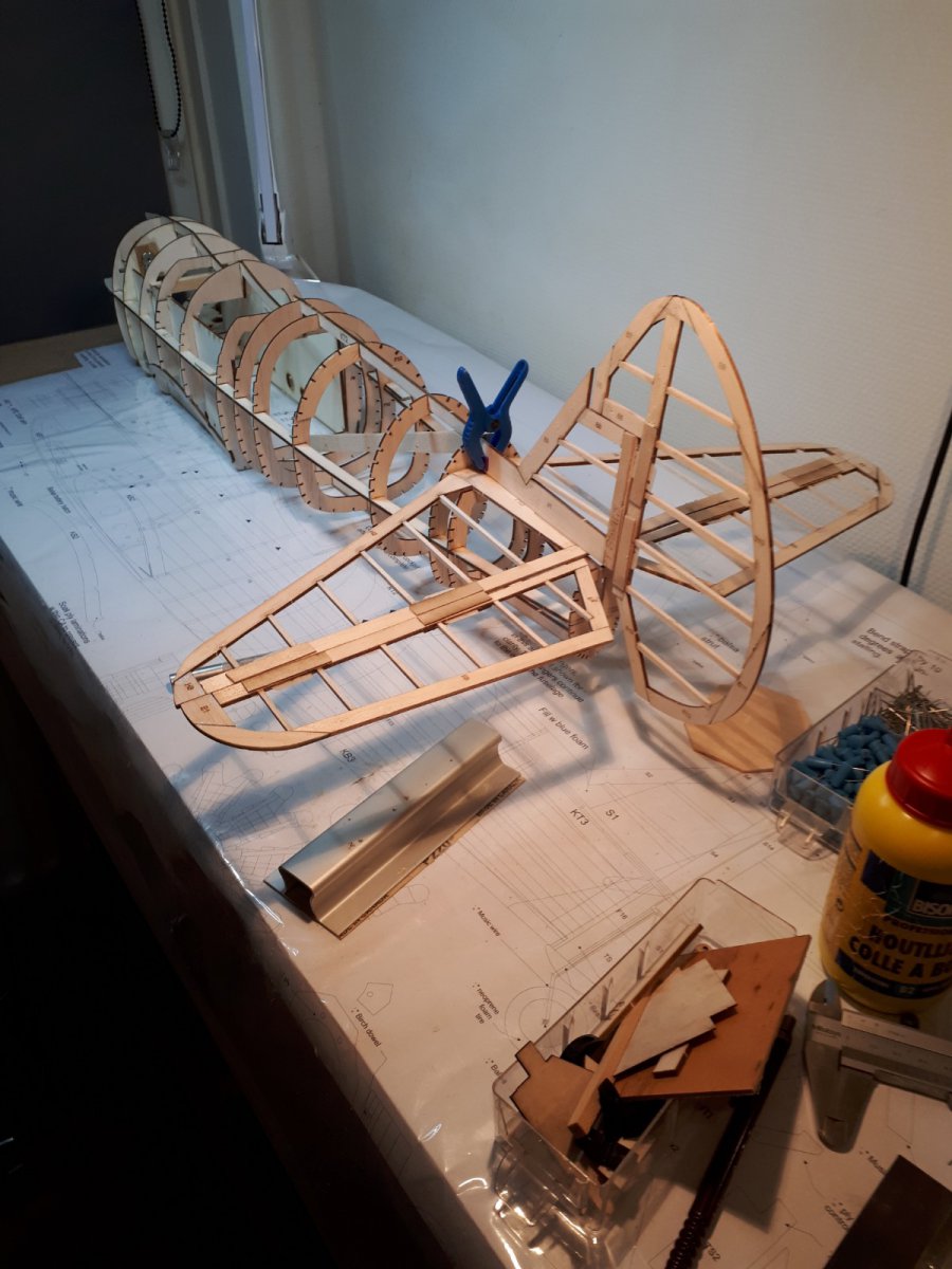 20190428_215312.jpg
