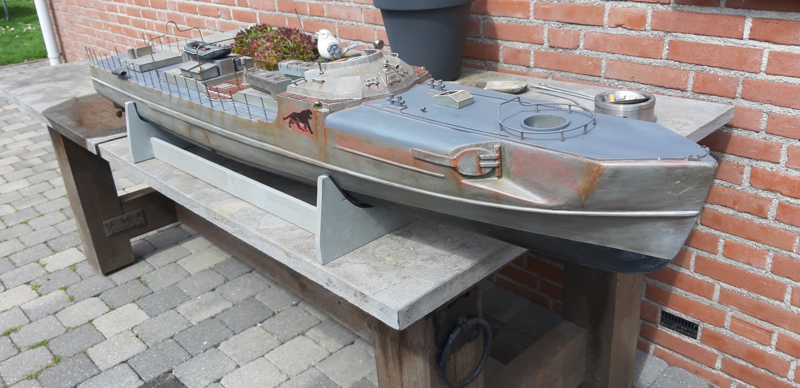 20190505_122927.jpg