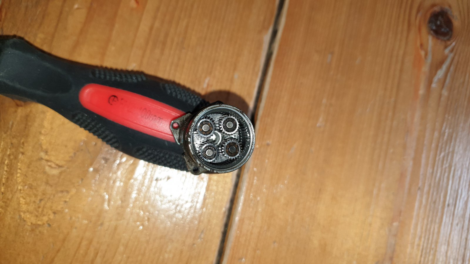 20190507_200731.jpg