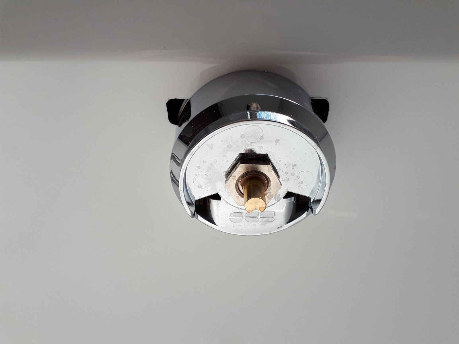 20190522_164954.jpg