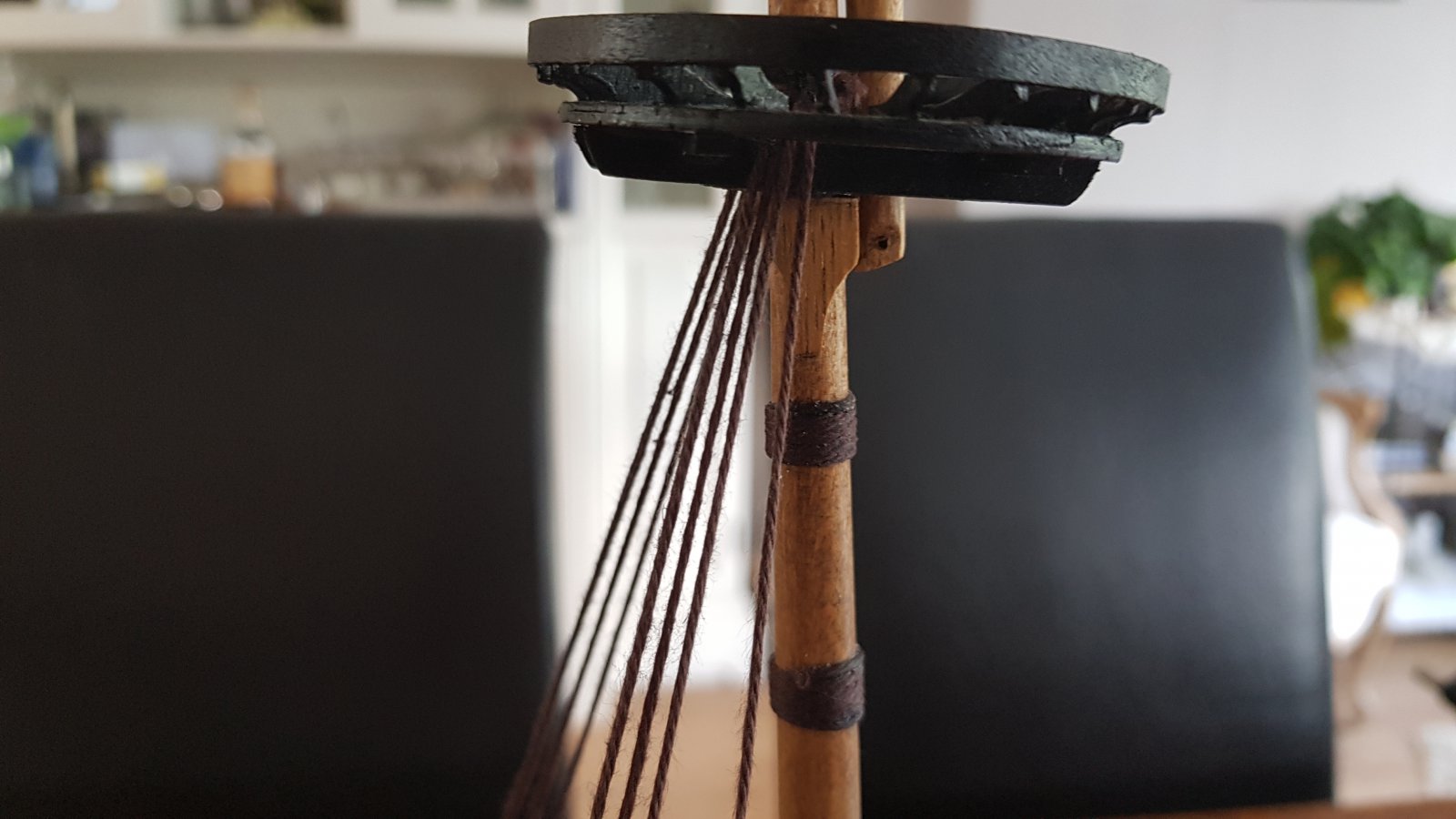 20190616_160821.jpg