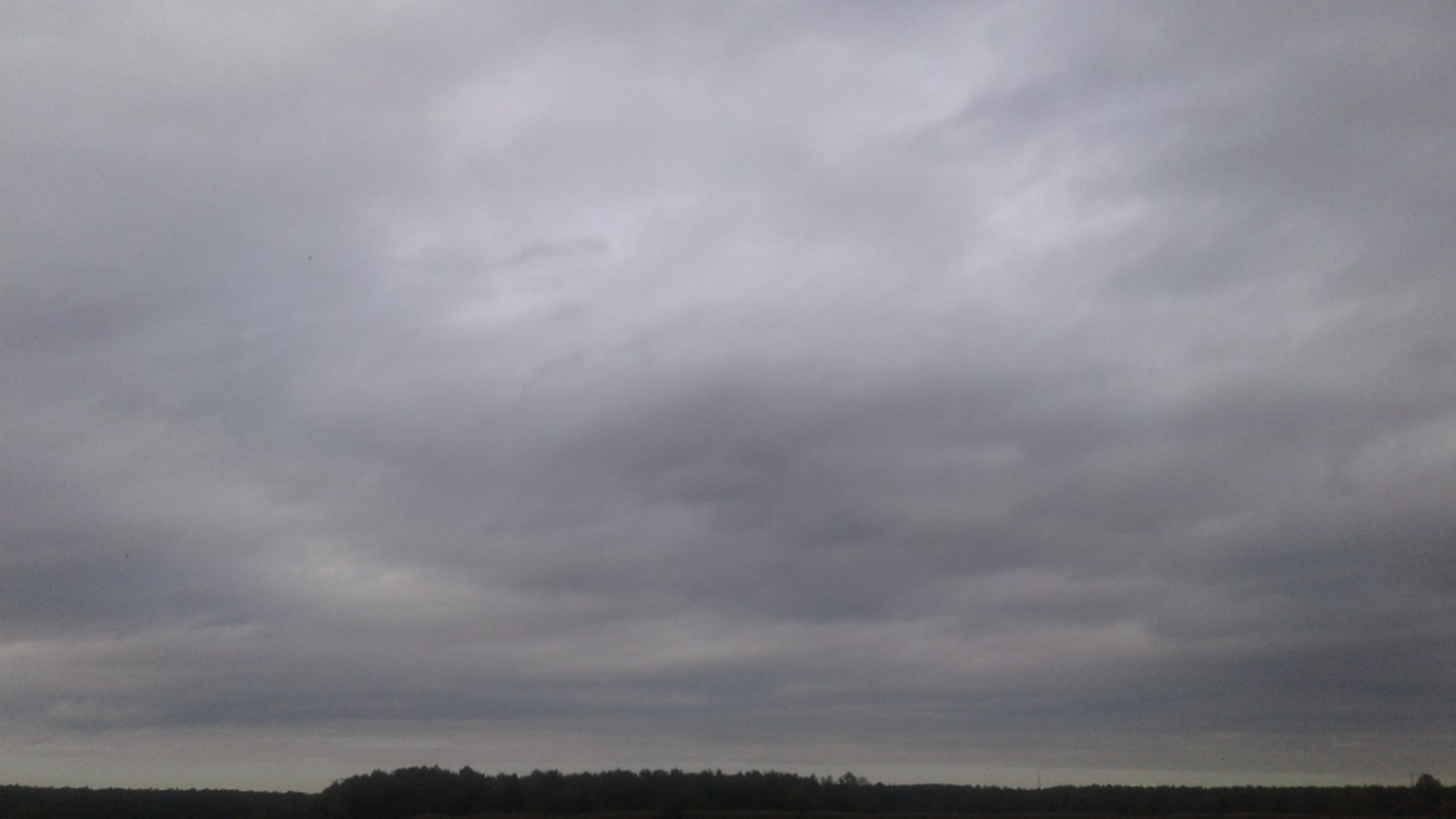 20191017_153628.jpg