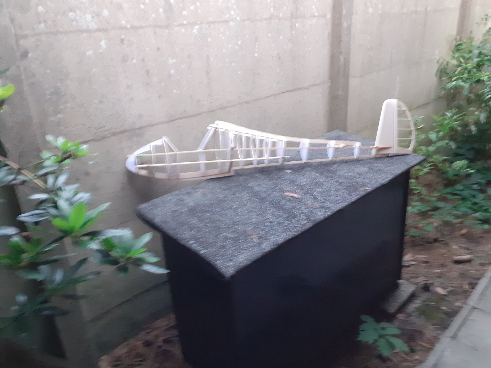 20200905_200004.jpg