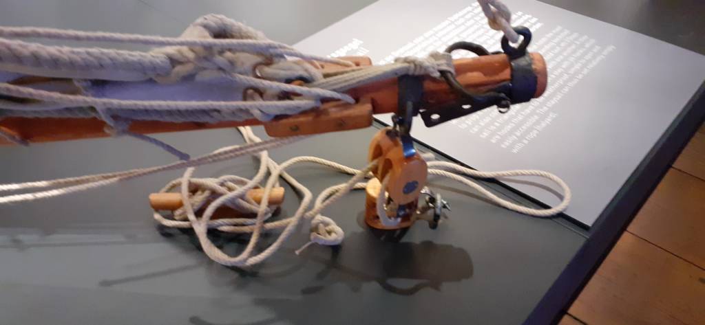 20200929_131743.jpeg