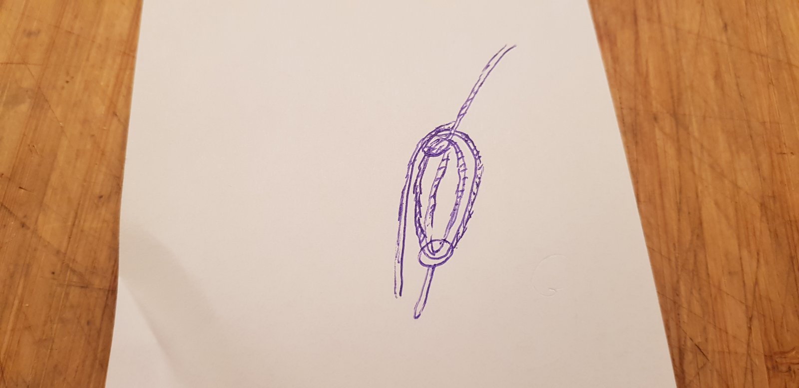 20201105_224013.jpg